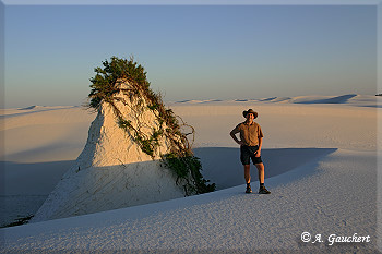 Dünengestalt in White Sands